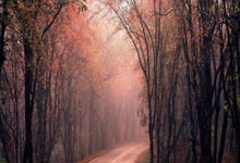 掘金主帅信心十足，表示球队能够逆袭