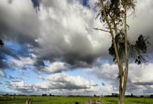 南美篮球冠军赛决出，五支豪强实力对决