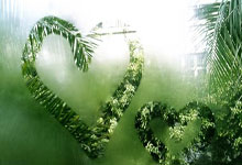 意大利女足惜败，无缘四强